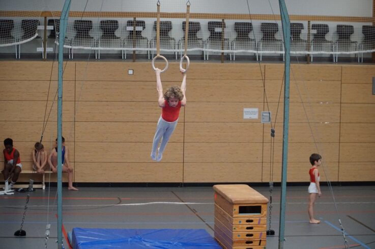 Daniel Scholz an den Ringen